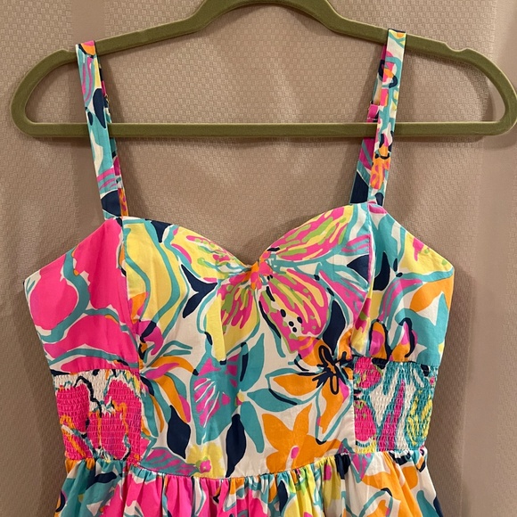 Lilly Pulitzer Christine Besame Mucho Smocked Poplin Fit & Flare Dress Sz10 - Picture 4 of 16